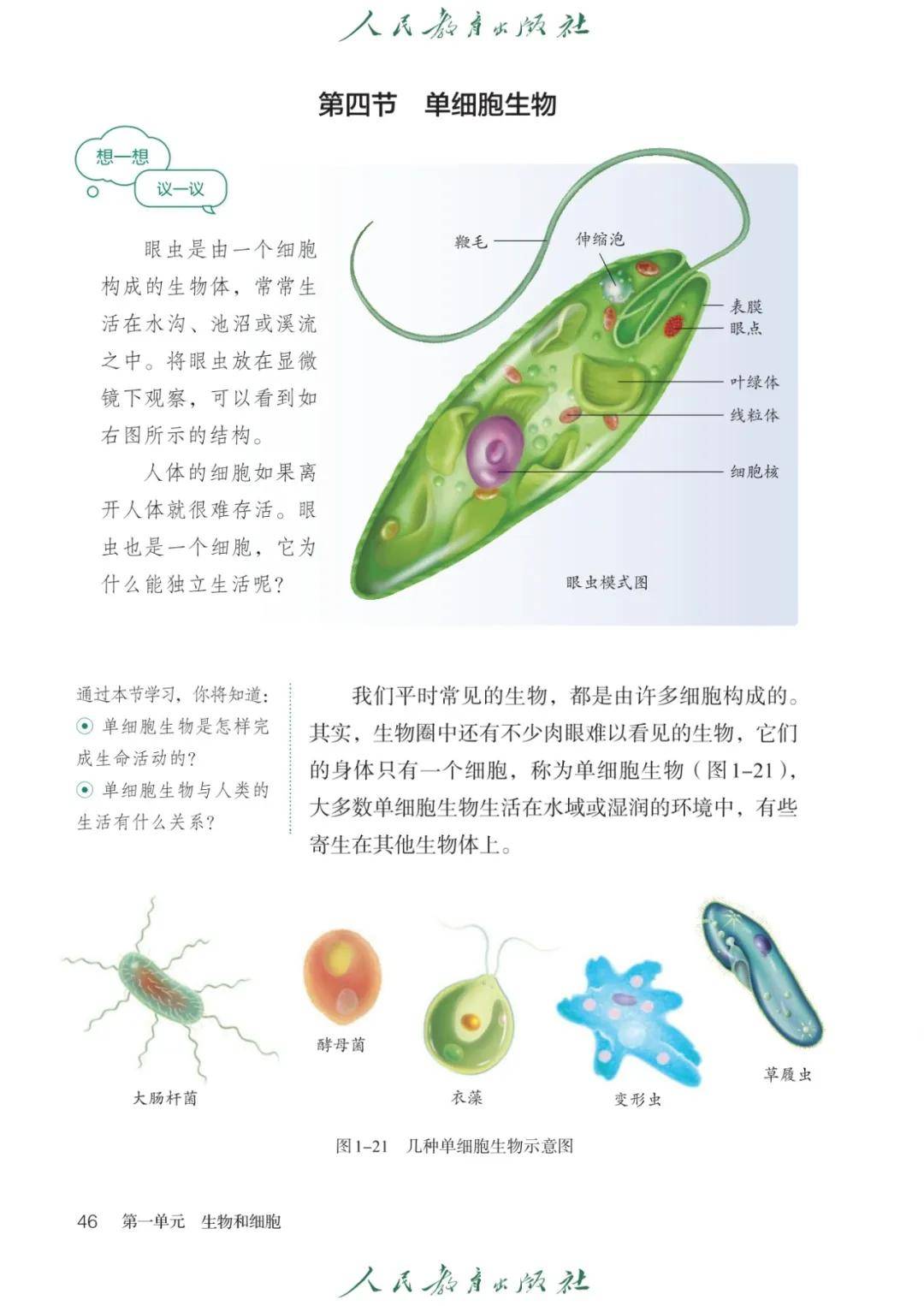 2025秋人教版七年级生物上册电子课本