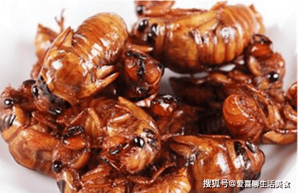 小标签在附近，蠕虫在市场上。得到盘子并品尝它。 Road Restaurant出售-Yuan，它比