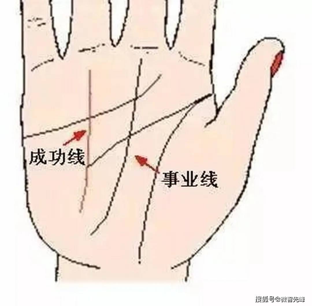 五分钟读懂手相之财运