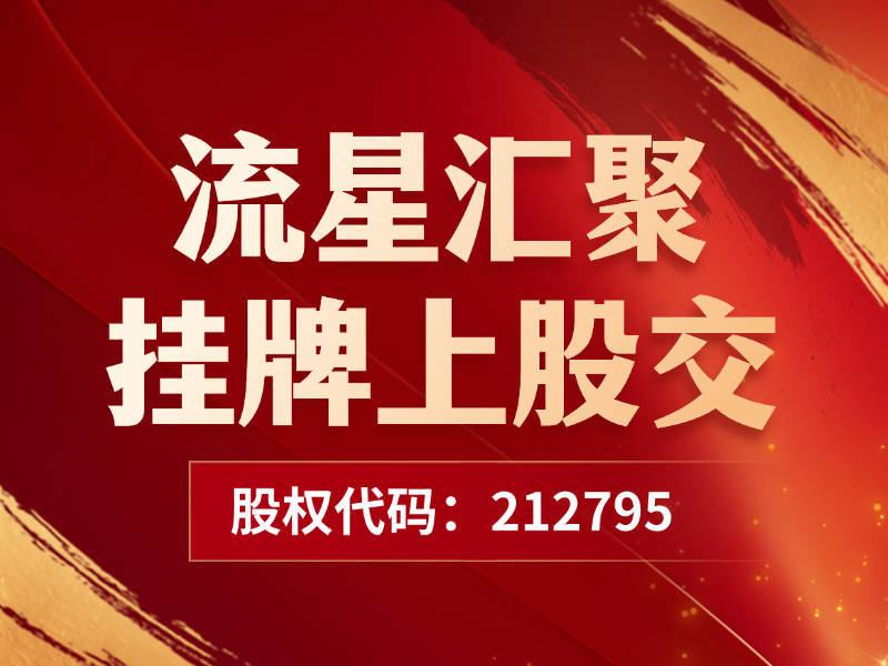 武汉流星汇聚是真是假啊？跨境电商行业领先者，新四板挂牌有保障
