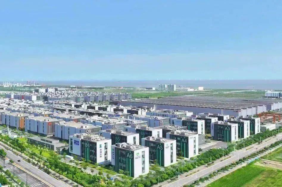 临港新片区 临港生命蓝湾 生物医药基地 医药特色产业园