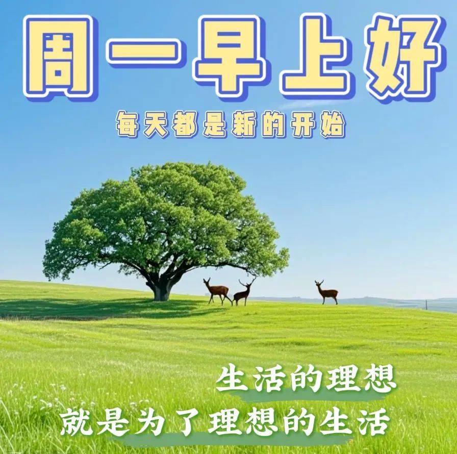 周一早安早上好最美祝福图片精选,早安问候暖心间,快乐与你共前行!