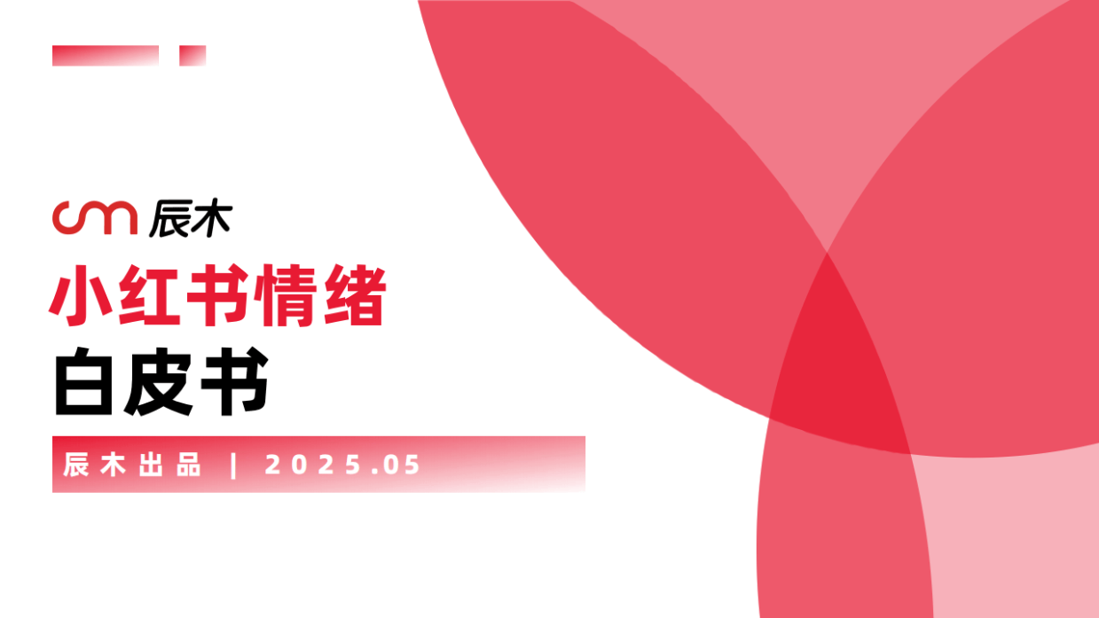 2025小红书情绪营销白皮书-辰木互动