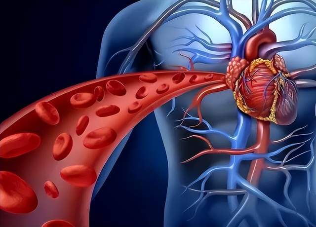 您最近有血压吗？长期高血压极为有害，因此远