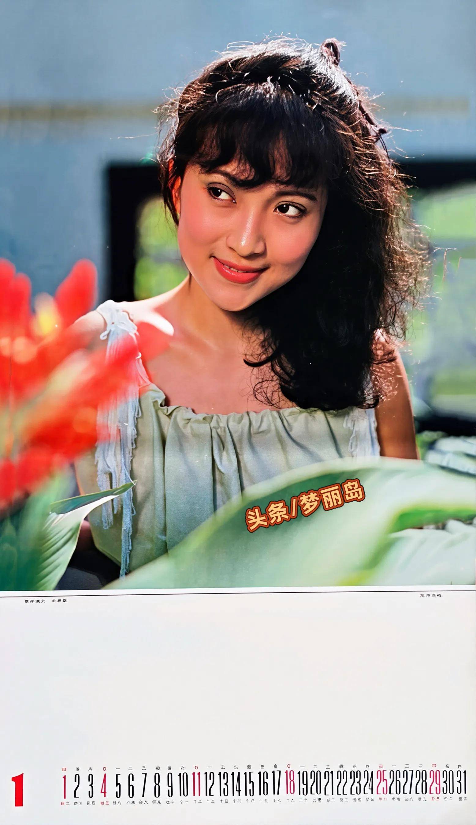 1987年新影星挂历.乐韵李勇勇詹萍萍傅艺伟严晓频麦文燕邬君梅等
