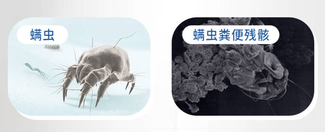 千元内除螨仪最建议入手哪款？2025年实测有效的10款多功能机型！