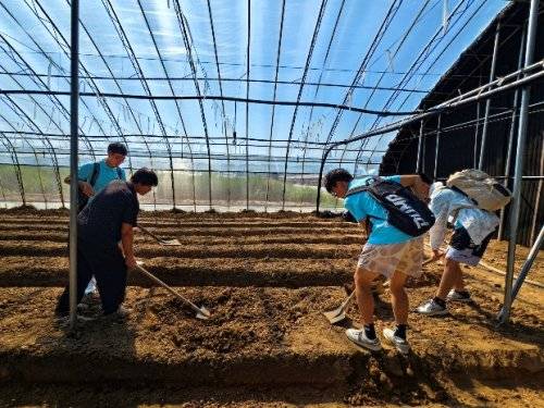 长安大学赴河南三门峡“崤函乡野振兴行·助农兴业青春力”暑期社会实践顺利开展 (图7)