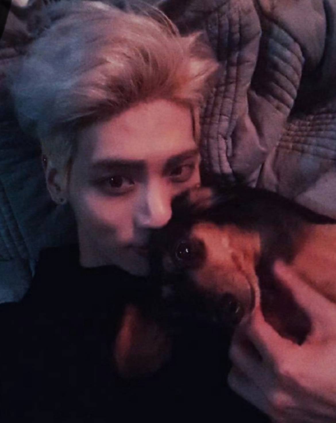 —金钟铉的狗狗走完最后一程