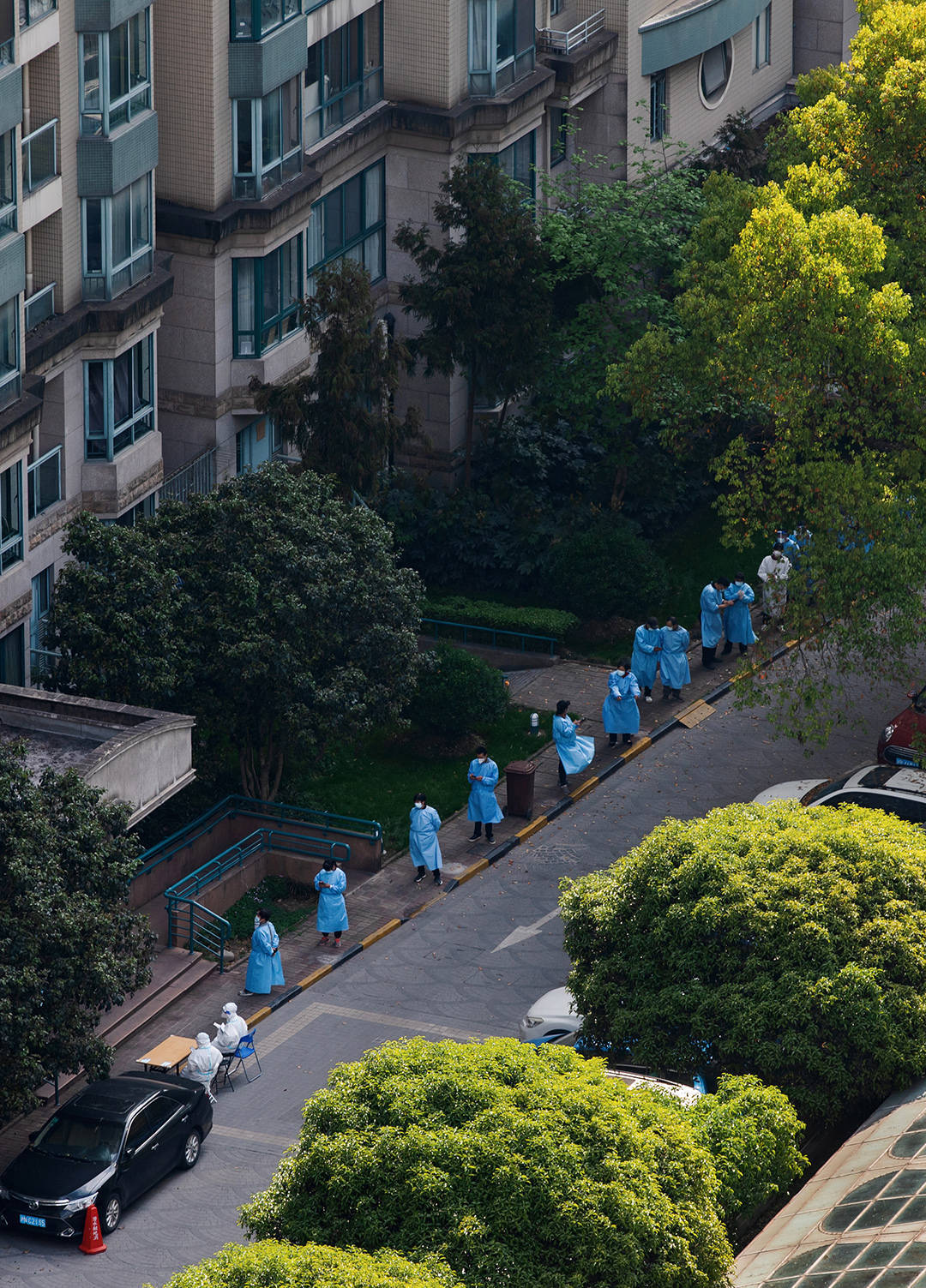 上海小区24天封控实录:小学女儿严控食物用量种葱每天量高度