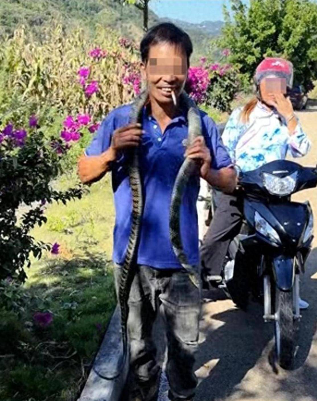 误把毒蛇当宠物贵州男子赔上命这些辨蛇知识能救命
