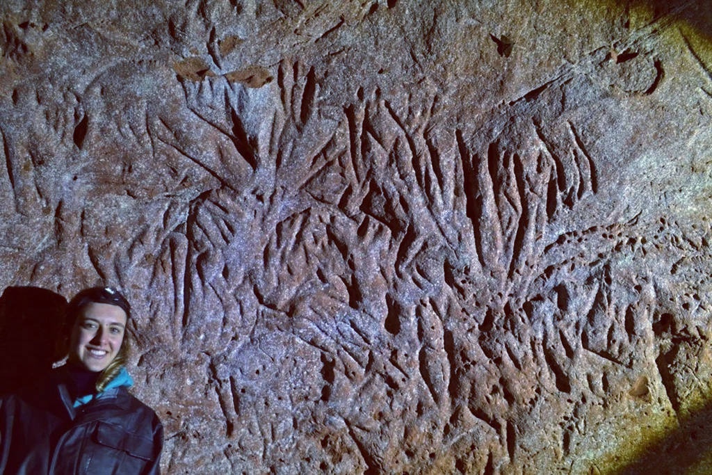 南美发现1.3万年前的古老隧道,经科学家确认,建造者不是人类