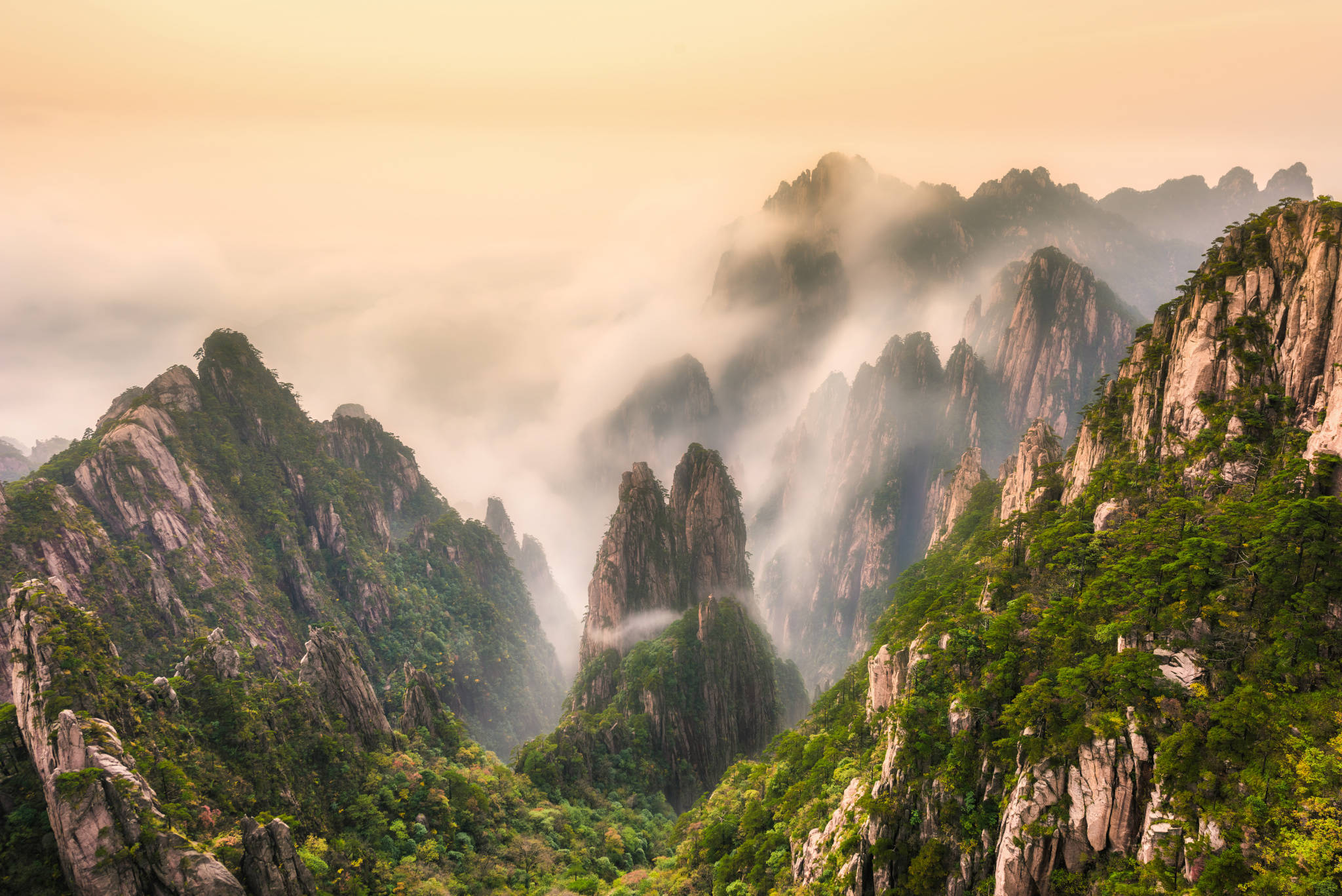 黄山旅行社