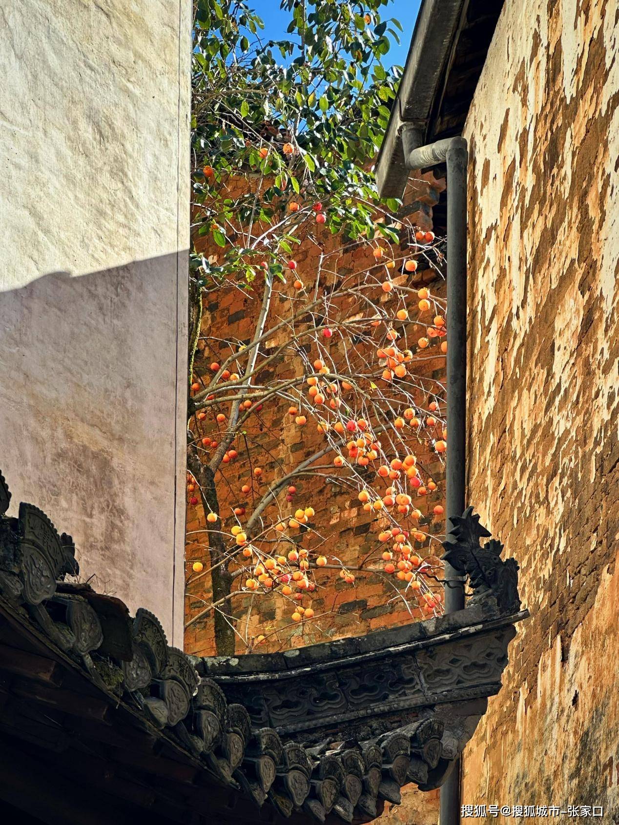 古村_晓起_建筑
