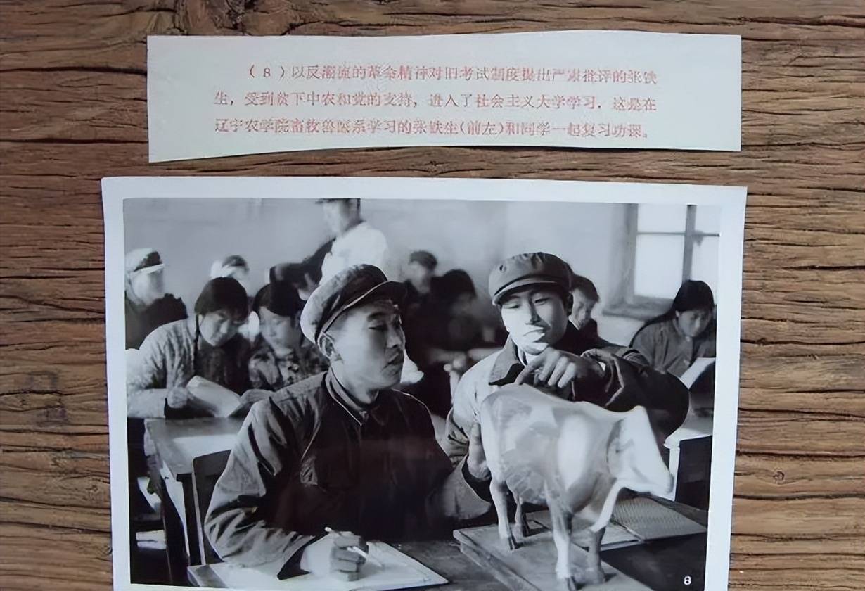“白卷英雄”张铁生靠一封信进大学,后被判十五年,出狱亿万身家_人生_金卫_高考