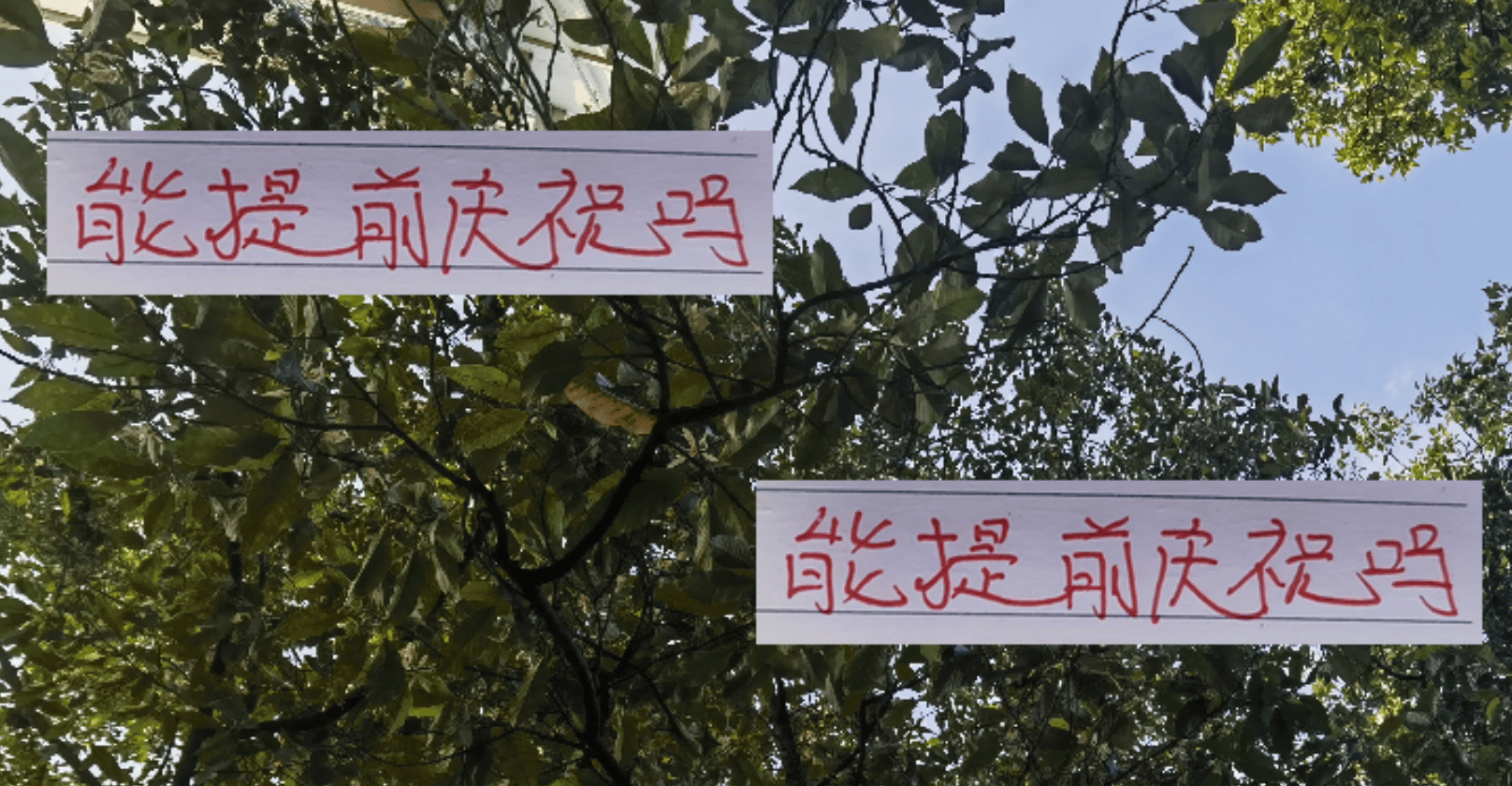 2023中超争冠白热化：上海海港能否提前锁定冠军？深度解析关键赛程与积分形势