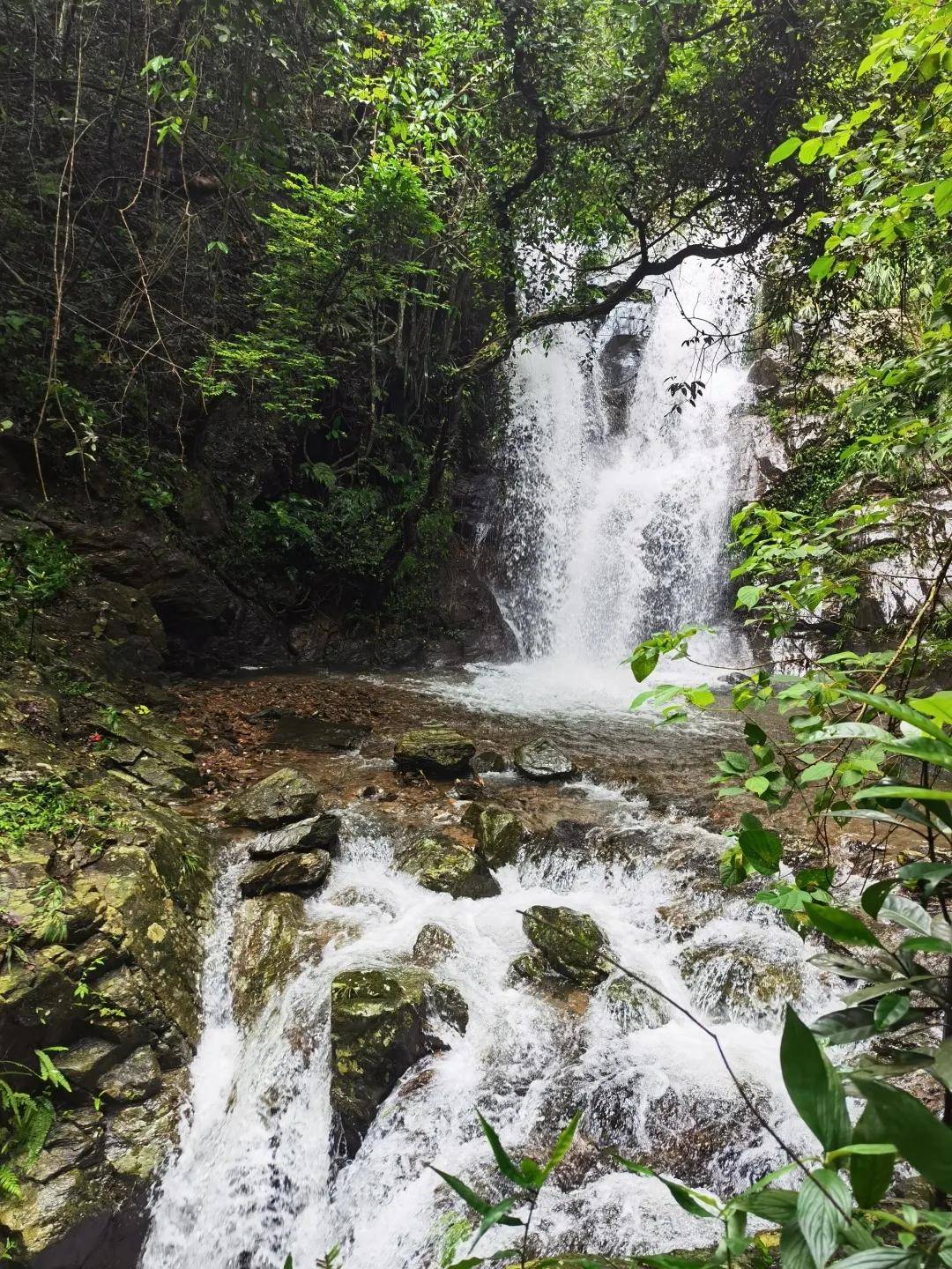 龙湾自然生态区▲龙湾风车山▲都门双德瀑布线路四历史文化精品
