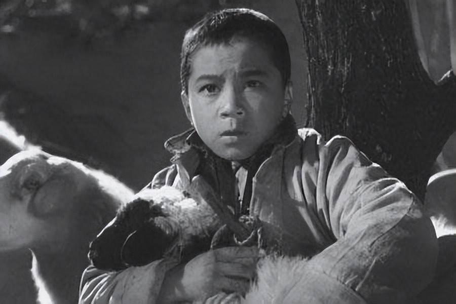 著名儿歌主角王二小牺牲时年仅13岁,70年后他的儿时伙伴道出真相