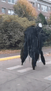 搞笑GIF：姑娘，你在这39°的天气穿裙子骑共享电动车，会不会有点？