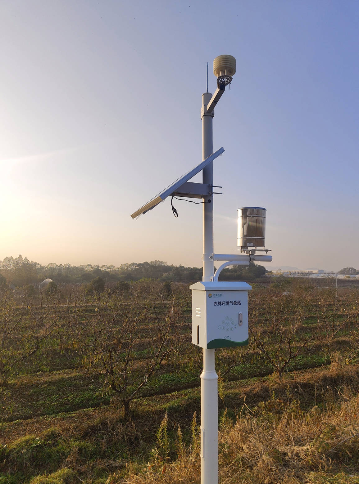 田间小气候自动观测仪赋能现代农业生产