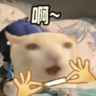 啊~~九九成～～稀罕物儿～～～50张稀有meme猫表情包