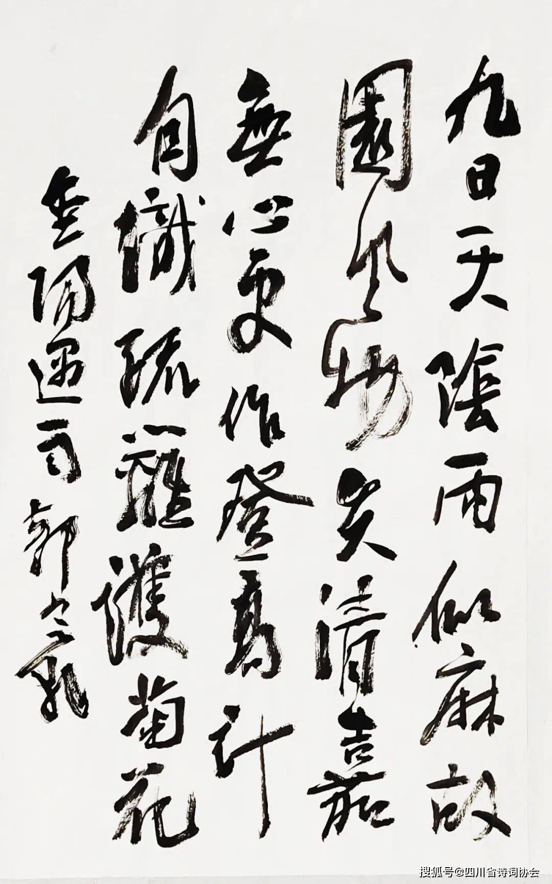 蜀诗-蜀诗合辑-2025年第42期（总第78期）（图5）