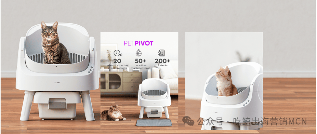 单款猫砂盆卖2亿!99年女生神秘操作拿下欧美市场(图1) 单款猫砂盆卖2亿!99年女生神秘操作拿下欧美市场(图1)