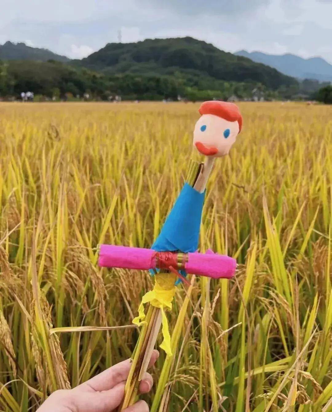 【广州三大秋色】11月15日丨上罗千亩柿子海+艾米稻香小镇+罗洞工匠小镇