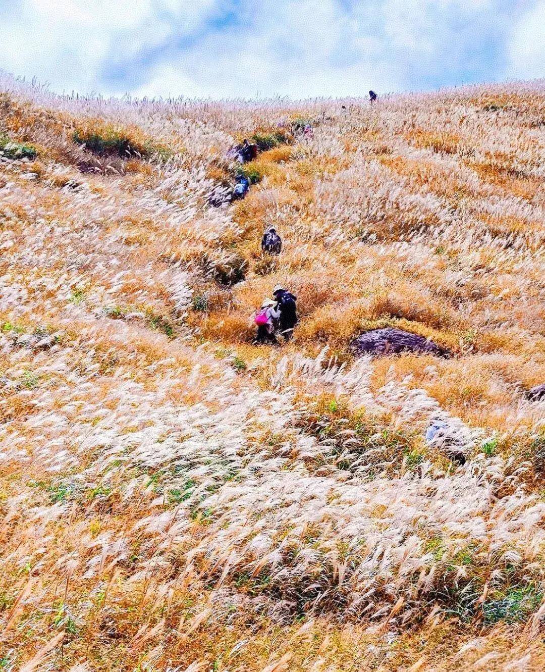 【大南山】11.13丨广东“小武功山”，大南山精华段穿越，邂逅最美云中草原