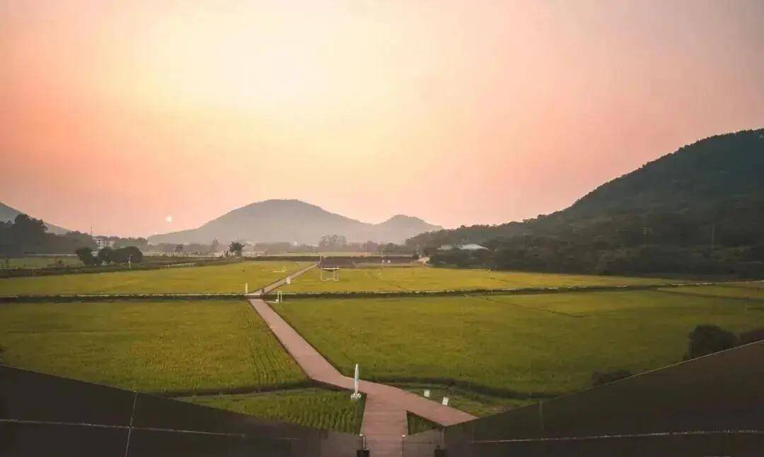 【广州三大秋色】11月15日丨上罗千亩柿子海+艾米稻香小镇+罗洞工匠小镇