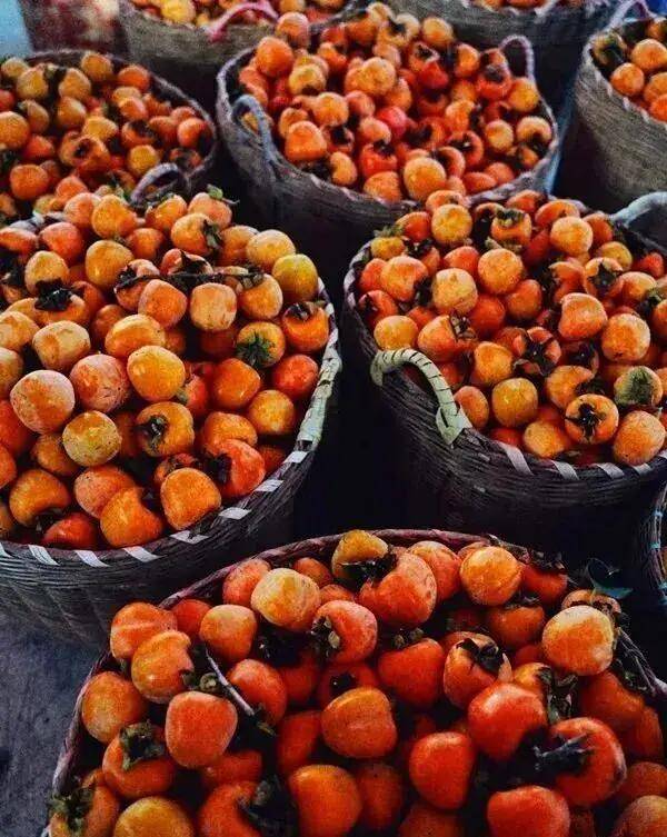 【广州三大秋色】11月15日丨上罗千亩柿子海+艾米稻香小镇+罗洞工匠小镇