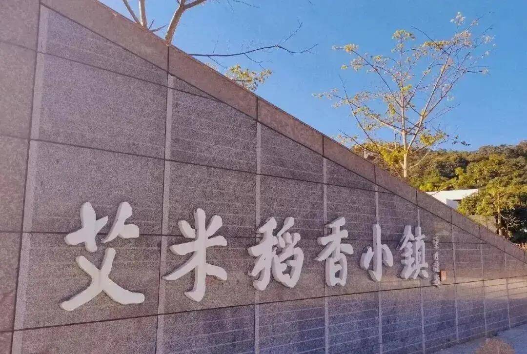 【广州三大秋色】11月15日丨上罗千亩柿子海+艾米稻香小镇+罗洞工匠小镇