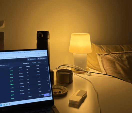 双11应该买什么东西？盘点2025年十款口碑最好的好物清单