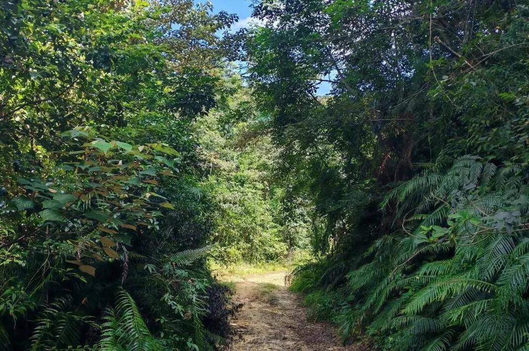 11月09日-【第十一届惠州30公里】全民健身,第十一届惠州30公里徒步活动开放报名!