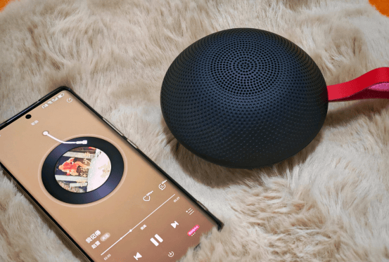 什么牌子音箱音质最好?2025年十大公认音质好的蓝牙音箱,口碑出众,值得入手!