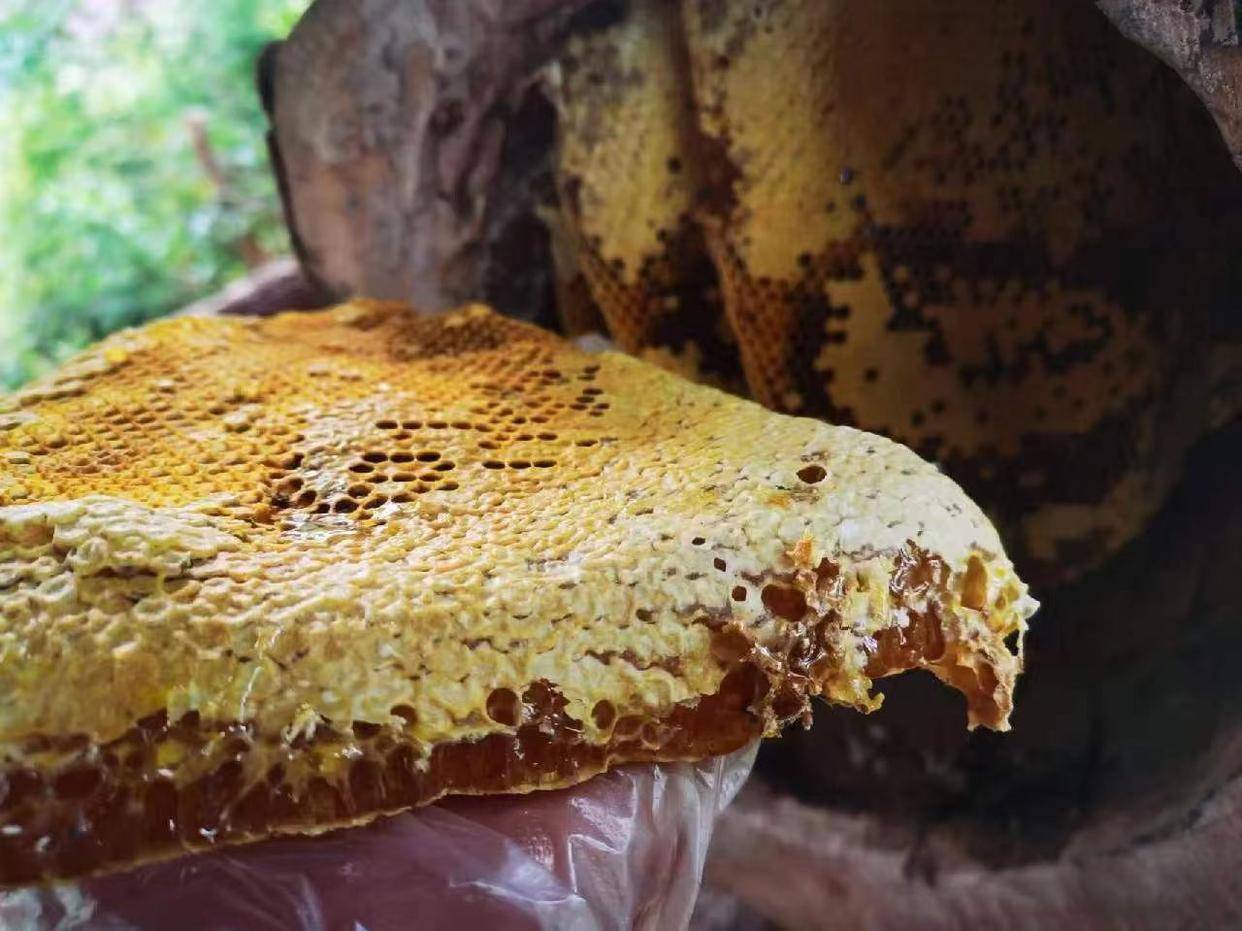 什么时间吃蜂蜜效果好(什么时候吃蜂蜜最好,怎么吃好)