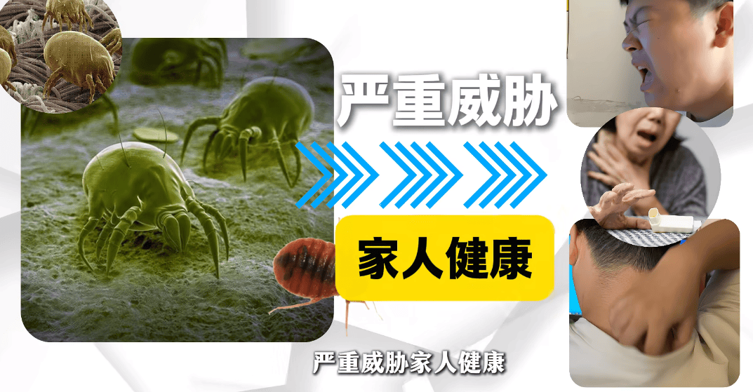 除螨仪哪个牌子好用又划算？测评除螨仪排行榜前十品牌，小白盲选！