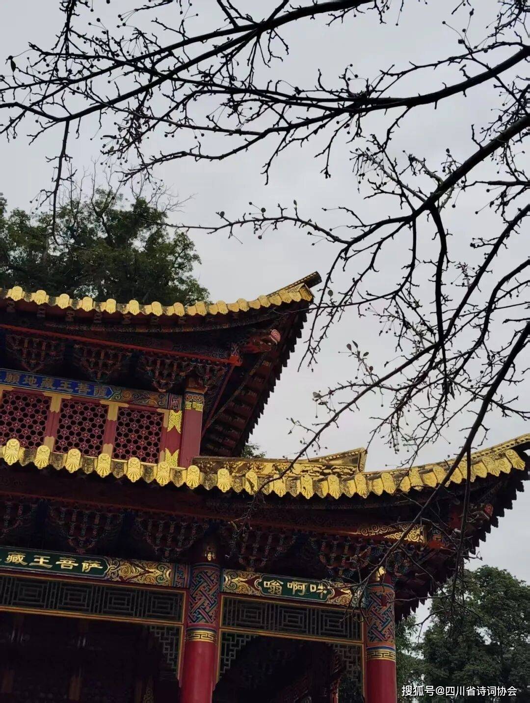 蜀诗-诗词特辑-彭州、什邡采风诗词集锦-2025年第53期(总第88期)(图18)