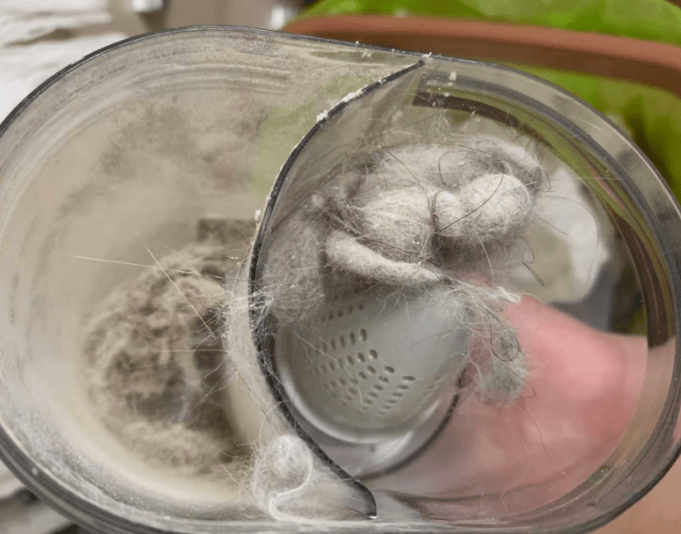 什么牌子除螨仪好？2025人气除螨仪十大名牌排名款测评，少走弯路