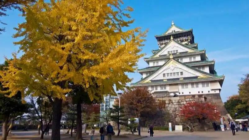 图片[7]-日本网友晒京都空荡荡车厢，称中国游客少了真舒服，引千万人热议 -华闻时空