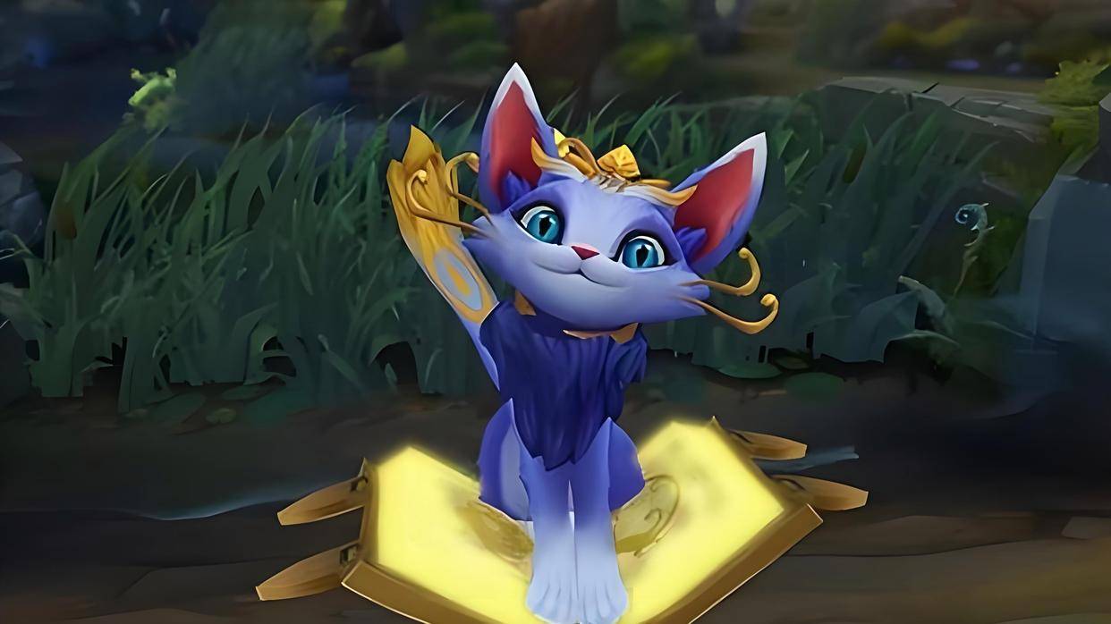 猫咪机制分析_英雄联盟辅助_英雄联盟最难平衡的辅助