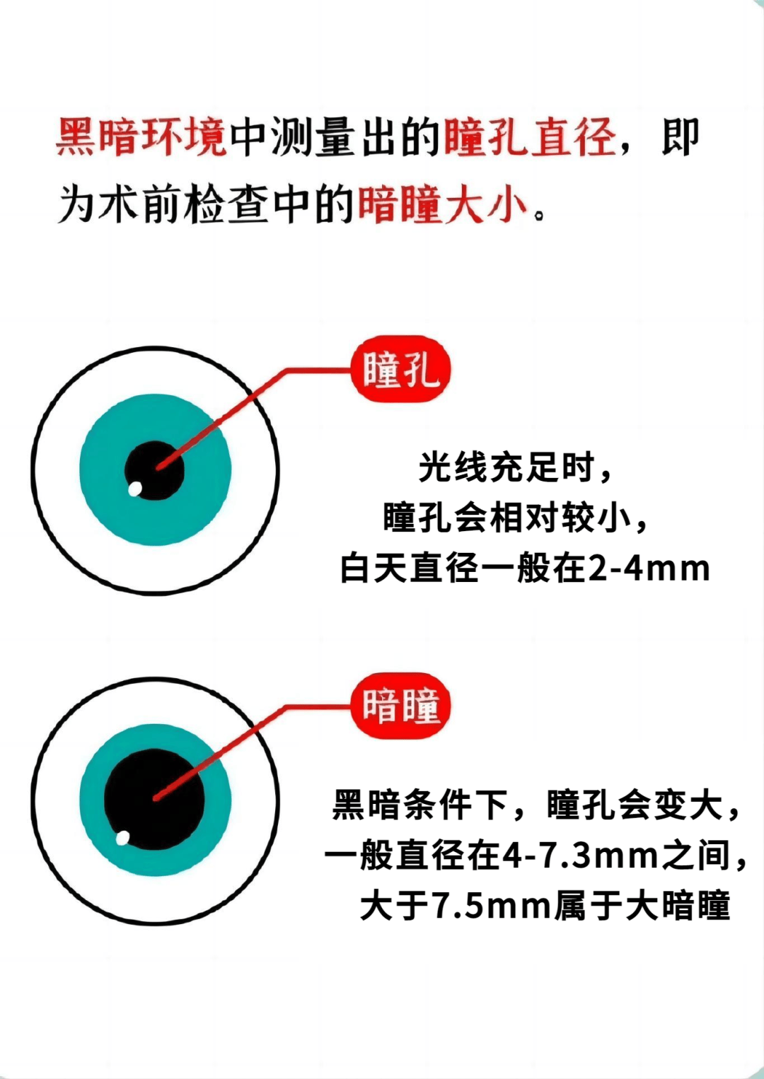 瞳孔_角膜_大小