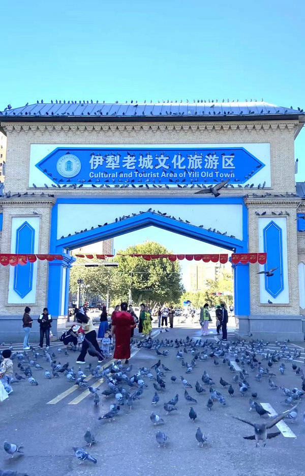 天山河谷·美哉伊犁丨8折优惠邀您住进雪原里的春天！