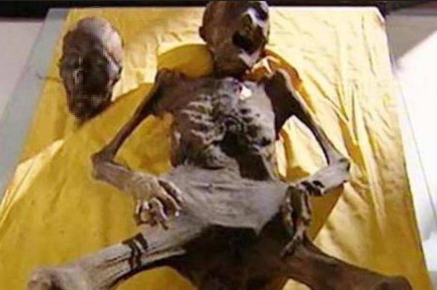 被误认已死下葬,300年后墓中景象凄惨