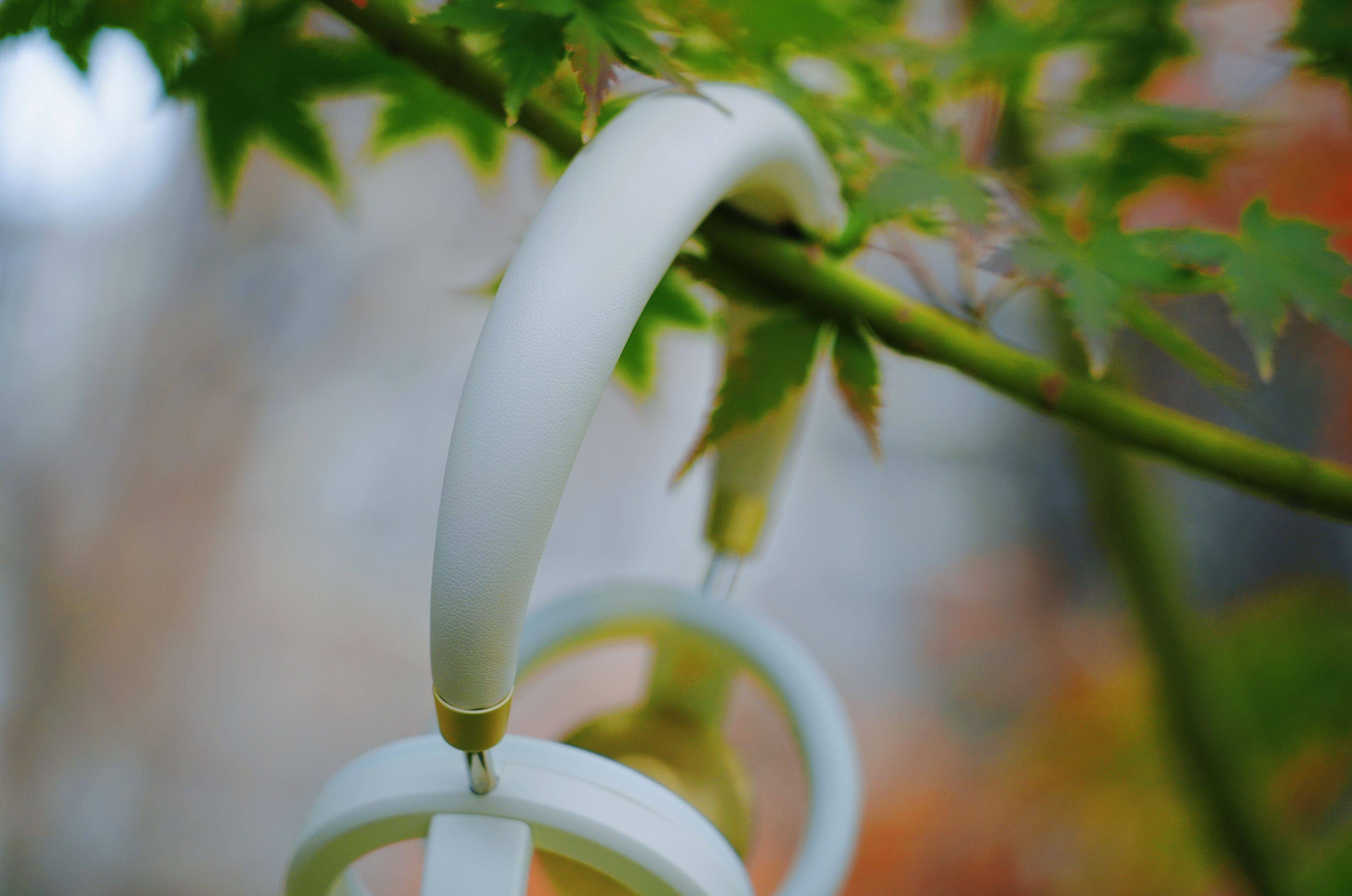 戴6小时耳朵不闷不油!南卡Bolt让我懂了:舒适和音质真能兼得