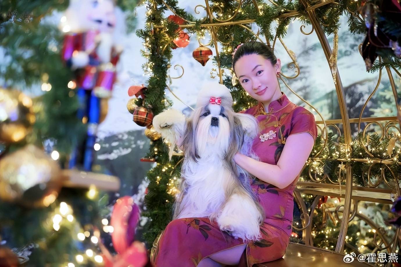 霍思燕爱犬在国际比赛夺冠，杜江发文：开心疯了！创造历史！ 插图3