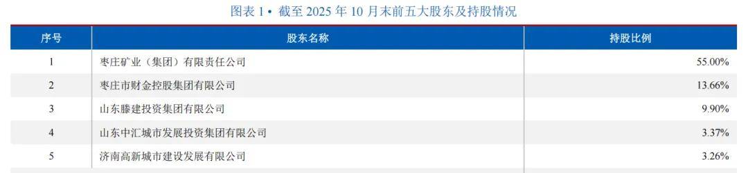 枣庄银行成被执行人:多家股东沦为老赖 房产不良贷款超12%(图3)