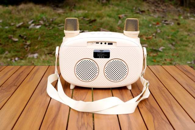 放下手机，想唱就唱：雅兰仕K31提词音箱，新一代K歌神器了解一下