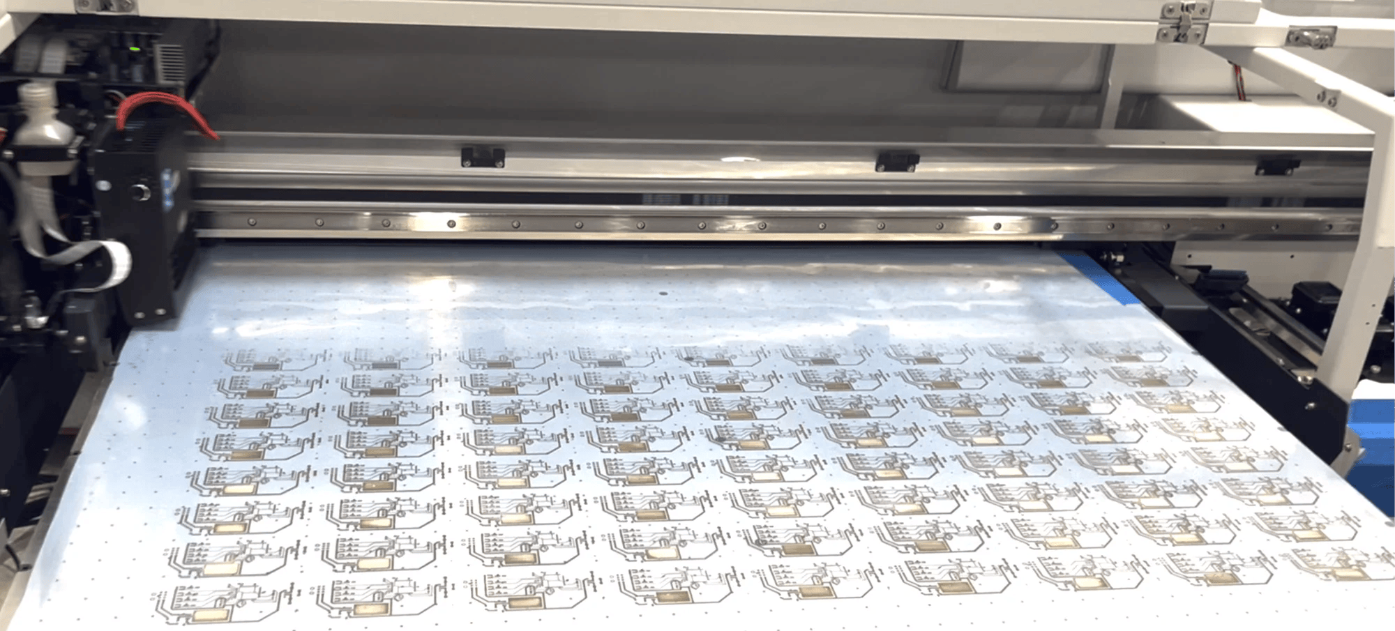 凯赛生物总裁杨晨：以生物智造筑牢双碳基石 打造产业协同生态