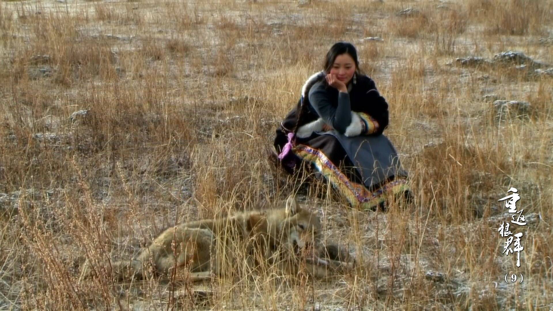 狼啸草原,众生裸奔_格林_李微漪_人类