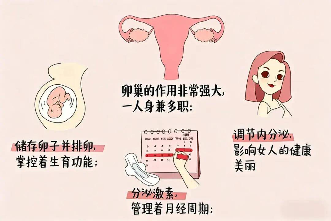 警惕！女性卵巢早衰的4大症状,你中招了几个？